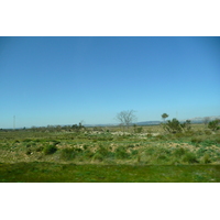 照片 法国(France) 普罗旺斯(Provence) 艾克斯至穆里耶公路(Aix to Mouries road) 2008-04 19