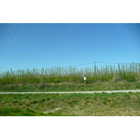 照片 法国(France) 普罗旺斯(Provence) 艾克斯至穆里耶公路(Aix to Mouries road) 2008-04 0