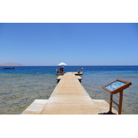 照片 埃及(Egypt) 沙姆沙伊赫(Sharm el Sheikh) 四季酒店(Four Seasons Hotel) 四季酒店海滩(Four Seasons Beach) 2008-06 43