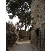 照片 法国(France) 索米耶尔(Sommieres) 2006-06 70