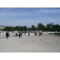 照片 法国(France) 巴黎(Paris) 杜乐丽花园(Garden of Tuileries) 2007-05 303