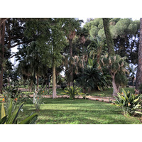 照片 意大利(Italy) 西西里岛(Sicily) 巴勒莫(Palermo) 诺曼王宫(Palazzo dei Normanni) 2020-02 146