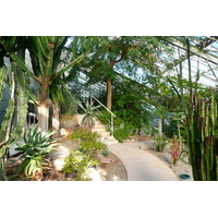 照片 法国(France) 尼斯(Nice) 凤凰公园(Phoenix Parc) 2007-10 11