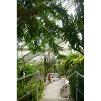 照片 法国(France) 尼斯(Nice) 凤凰公园(Phoenix Parc) 2007-10 29