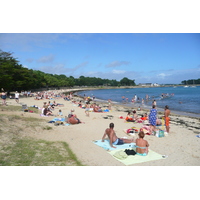 照片 法国(France) 圣菲利贝尔(Saint Philibert) 2008-07 16