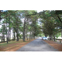 照片 法国(France) 圣菲利贝尔(Saint Philibert) 2008-07 19