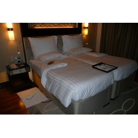 照片 阿联酋(United Arab Emirates) 迪拜(Dubai) 阿联酋购物中心凯宾斯基酒店(Kempinski Hotel Mall of the Emirates) 2009-01 71