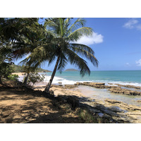 照片 瓜德罗普(Guadeloupe) 克吕尼海滩(Clugny Beach) 2021-02 12
