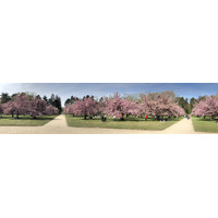 照片 法国(France) 索镇公园(Parc de Sceaux) 2019-04 69