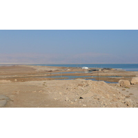 照片 以色列(Israel) 死海(Dead Sea) 2007-06 177