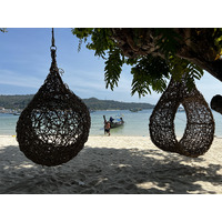 照片 泰国(Thailand) 大皮皮岛(Ko Phi Phi Don) 2021-12 75