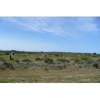 照片 南非(South Africa) 赫曼努斯至克尼斯纳公路(Harmanus to Knysna road) 2008-09 40