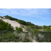 照片 南非(South Africa) 赫曼努斯至克尼斯纳公路(Harmanus to Knysna road) 2008-09 86