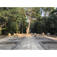 照片 柬埔寨(Cambodia) 暹粒(Siem Reap) 斑黛喀蒂寺(Banteay Kdei) 2023-01 11