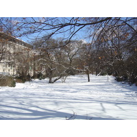 照片 德国(Germany) 慕尼黑(Munich) 2005-02 211