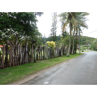 照片 新喀里多尼亚(New Caledonia) 松树岛(Ile des pins) 2010-05 1