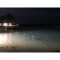 照片 瓜德罗普(Guadeloupe) 曼加瑙酒店(Le Manganao Hotel) 2021-02 140