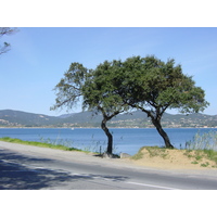 照片 法国(France) 圣特罗佩(Saint Tropez) 2002-03 20