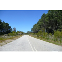 照片 南非(South Africa) 克尼斯纳至伊丽莎白港公路(Knysna to Port Elizabeth road) 2008-09 16