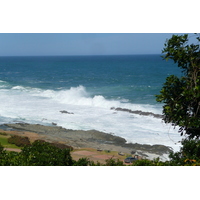 照片 南非(South Africa) 齐齐卡马国家公园(Tsitsikamma National Park) 2008-09 53