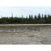 照片 新喀里多尼亚(New Caledonia) 松树岛(Ile des pins) 奥罗湾(Oro Bay) 2010-05 38