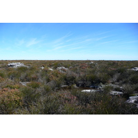 照片 南非(South Africa) 开普敦(Cape Town) 桌山(Table Mountain) 2008-09 58