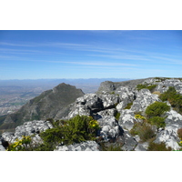照片 南非(South Africa) 开普敦(Cape Town) 桌山(Table Mountain) 2008-09 61