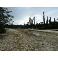 照片 新喀里多尼亚(New Caledonia) 松树岛(Ile des pins) 奥罗湾(Oro Bay) 2010-05 81