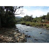 照片 新喀里多尼亚(New Caledonia) 蓝河公园(Parc de la Riviere Bleue) 2010-05 152