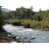 照片 新喀里多尼亚(New Caledonia) 蓝河公园(Parc de la Riviere Bleue) 2010-05 164