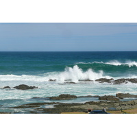 照片 南非(South Africa) 齐齐卡马国家公园(Tsitsikamma National Park) 2008-09 431