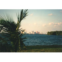 照片 美国(United States) 迈阿密海滩(Miami Beach) 1991-11 25