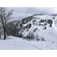 照片 法国(France) 阿尔利河畔普拉(Praz sur Arly) 2019-12 25