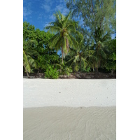 照片 塞舌尔(Seychelles) 拉齐奥湾(Anse Lazio) 2011-10 67