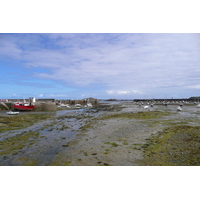 照片 法国(France) 罗斯科夫(Roscoff) 2007-08 13
