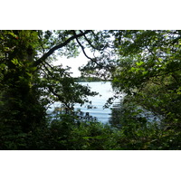 照片 英国(United Kingdom) 苏格兰(Scotland) 英奇马霍姆修道院(Inchmahome Priory) 2011-07 52