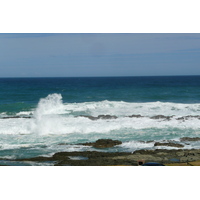 照片 南非(South Africa) 齐齐卡马国家公园(Tsitsikamma National Park) 2008-09 344