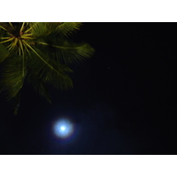 照片 泰国(Thailand) 考拉(Khao Lak) 考拉艾美酒店(Meridien Khao Lak Hotel) 2005-12 341