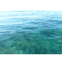 照片 斐济(Fiji) 漂流者岛(Castaway Island) 2010-05 171