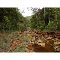 照片 新喀里多尼亚(New Caledonia) 2010-05 96