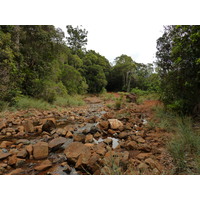 照片 新喀里多尼亚(New Caledonia) 蓝河公园(Parc de la Riviere Bleue) 2010-05 126