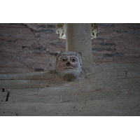 照片 法国(France) 孔克(Conques) 孔克圣福瓦修道院教堂(Abbatiale Sainte-Foy de Conques) 2018-04 15