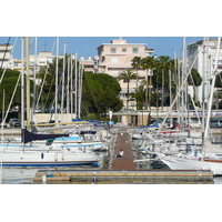 照片 法国(France) 戛纳(Cannes) 皮埃尔·康托港(Port Pierre Canto) 2008-05 70