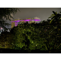 照片 新加坡(Singapore) 滨海湾花园(Garden by the bay) 2023-01 5
