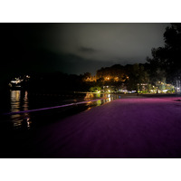 照片 泰国(Thailand) 普吉岛(Phuket) 卡马拉海滩(Kamala Beach) 2021-12 42