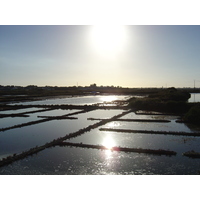 照片 法国(France) 盖朗德(Guerande) 2004-08 14