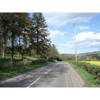 照片 英国(United Kingdom) 瓦伊河谷(Wye Valley) 2006-05 40