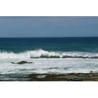 照片 南非(South Africa) 齐齐卡马国家公园(Tsitsikamma National Park) 2008-09 64