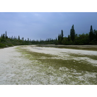 照片 新喀里多尼亚(New Caledonia) 松树岛(Ile des pins) 奥罗湾(Oro Bay) 2010-05 40