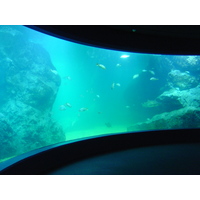 照片 泰国(Thailand) 曼谷(Bangkok) 暹罗海洋世界(Siam Ocean World) 2005-12 37